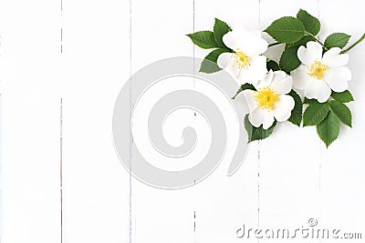 Styled stock photo. Feminine floral table composition with wild rose flowers on old white wooden background. Empty space Stock Photo