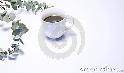 Styled stock photo. Feminine still life composition with cup of coffee, and bouquet of eucalyptus branches on white Stock Photo