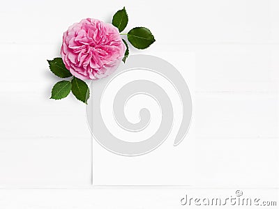 Styled stock photo. Feminine wedding desktop mockup with pink English rose flower and white empty paper card. Floral Stock Photo