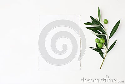 Styled stock photo. Feminine wedding desktop mockup scene with green olive branch and white empty vertical paper card Stock Photo