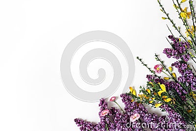 Styled stock photo. Spring botanical scene, floral composition. Decorative banner, corner made of purple lilac, yellow Stock Photo