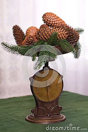 Stylish antique decor with pine cones. A handful of pine cones on an antique bronze scale Stock Photo