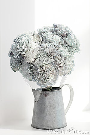 The Stylish bridal bouquet carnations colored in green in a tin pitcher on the window Stock Photo