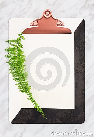 Stylish clipboard with blank paper sheet and green plant Stock Photo