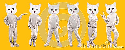 Stylish collage banner. Funny Cats characters. Emotions set. Ideal for Social networks, promotion concept Stock Photo