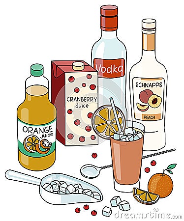 Stylish doodle cartoon Sex on the Beach cocktail composition. Apple schnapps and vodka bottles, cranberry and orange Vector Illustration
