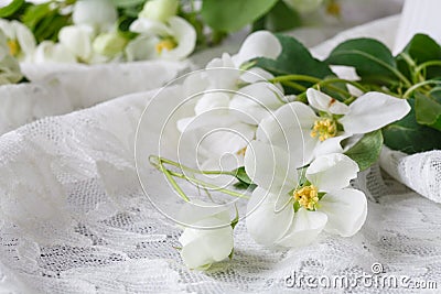 Stylish feminine space with white flowers of apple tree in vase. Styled minimalistic still life Stock Photo