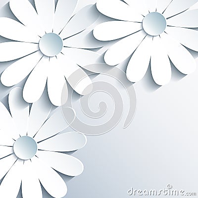 Stylish grey wallpaper with 3d white chamomile Vector Illustration