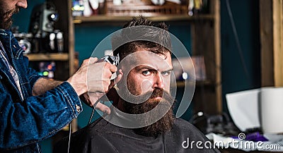 Stylish haircut concept. Hands of barber with clipper close up. Client with beard on salon background. Hipster bearded Stock Photo