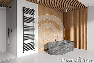 Stylish hotel bathroom interior with bathtub, shower and rail Stock Photo
