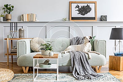 Stylish interior design of living room with modern mint sofa, wooden console, cube, coffee table, lamp, plant, mock up poster Stock Photo