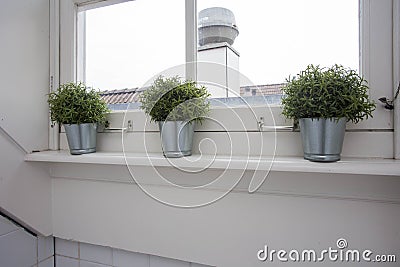 The stylish interior of home garden with different ceramic and concrete pots on the window sill. Stock Photo