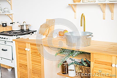 Stylish kitchen interior with green plants. Home decoration Stock Photo