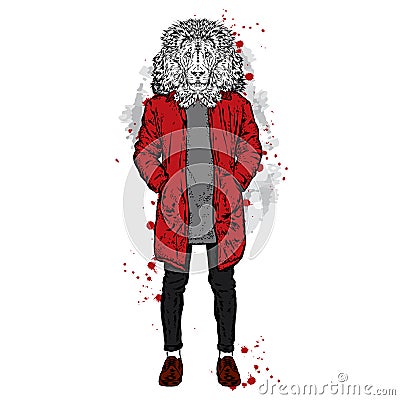 Stylish lion in a jacket and jeans. Fashion & Style. Vector Illustration