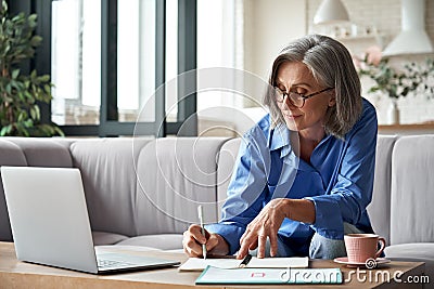 Stylish mature older woman working from home on laptop taking notes. Stock Photo