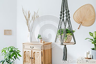 Macrame plant hanger. Concept of bright and cosy home interior. Stock Photo
