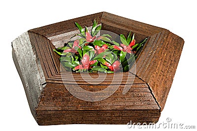 Stylish pentagonal wooden flower box Stock Photo