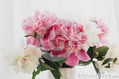 Stylish pink and white peonies in vase. Hello spring. Lovely peony bouquet in sunny light on rustic wooden window sill. Happy Stock Photo