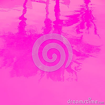 Stylish relax wallpaper..Water background in the pool and palm trees reflection . Minimal in details. Pink Trendy colours design Stock Photo