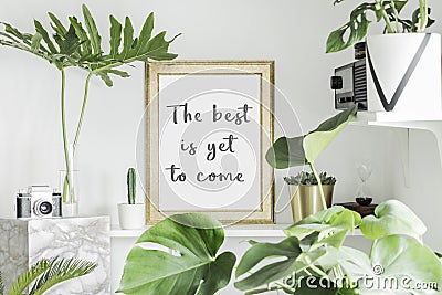 Stylish scandinavian interior with white shelf, golden mock up poster frame, books, hourglass, camera, plants in design pot, leaf. Stock Photo