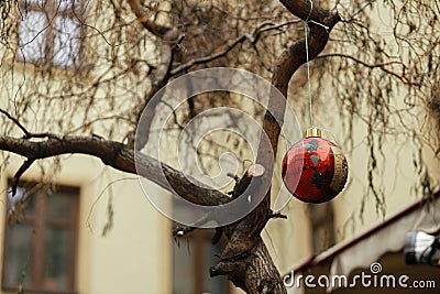 Stylish simple christmas decoration in european city street, vintage bauble on tree branch. Christmas festive street decor for Stock Photo