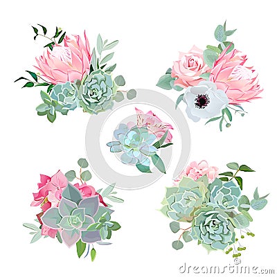 Stylish small bouquets of succulents, protea, rose, anemone, echeveria, hydrangea, green plants. Vector Illustration