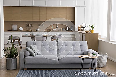 Stylish studio furnished apartment interior with no people Stock Photo