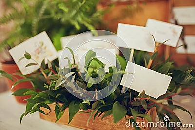 Stylish table list seating plan for wedding reception, greenery style Stock Photo