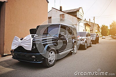 Stylish wedding cortege of cars with a bow and hat Stock Photo