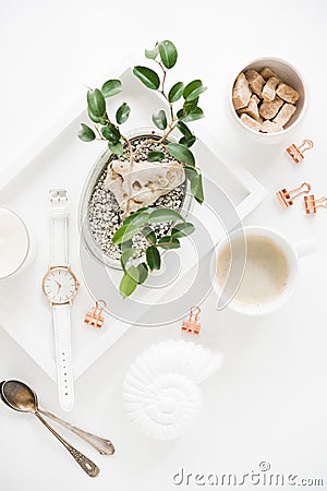 Stylish white table top, social media flat lay with plants Stock Photo