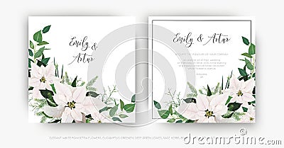 Stylish, winter season floral wedding invite, invitation, greeting card vector template set. Ivory white Poinsettia flower, Vector Illustration