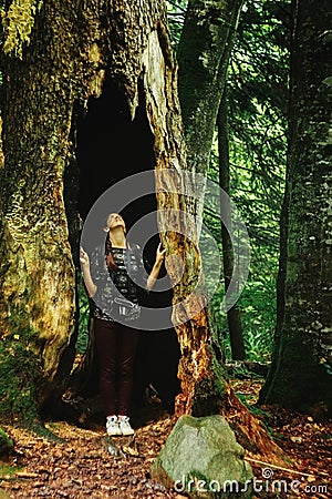 Stylish woman hipster traveler looking at amazing tree with hole Stock Photo