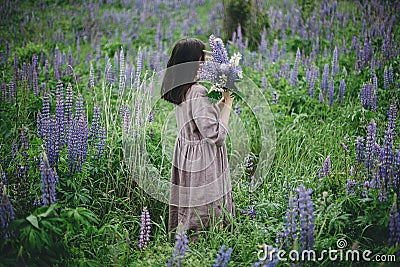 Stylish woman in rustic dress walking among lupine meadow, atmospheric image. Young female in linen dress gathering flowers in Stock Photo
