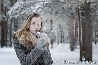 A stylishly dressed, beautiful girl in a gray coat with a fur collar stands alone in a winter forest, warming her hands in fur mit Stock Photo