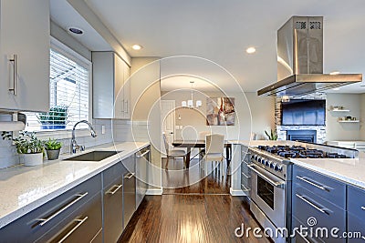 Stylishly updated kitchen with stainless steel appliances. Stock Photo