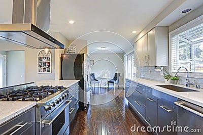 Stylishly updated kitchen with stainless steel appliances. Stock Photo