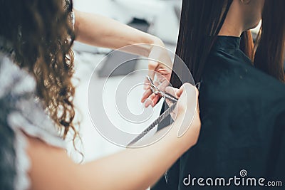 Stylist working in the beauty salon, haircut and hair styling Stock Photo