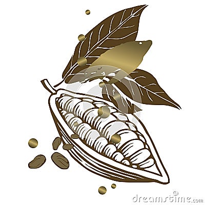 Stylized branch with cocoa beans Vector Illustration