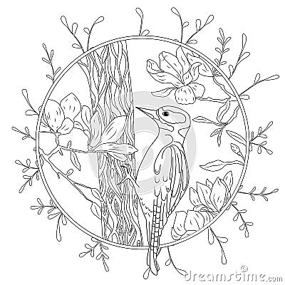 Stylized cartoon woodpecker on tree branch. Hand drawn sketch for adult antistress coloring page Stock Photo