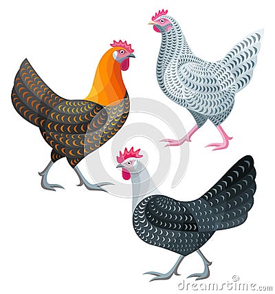 Stylized Chickens - Hens Vector Illustration