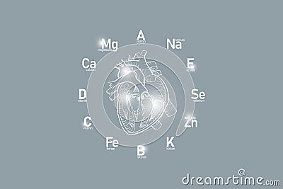 Stylized clockface with essential vitamins and microelements for human health, hand drawn human Heart, grey background. Stock Photo