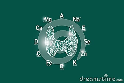 Stylized clockface with essential vitamins and microelements for human health, hand drawn human Thyroid Gland, deep green backgrou Stock Photo