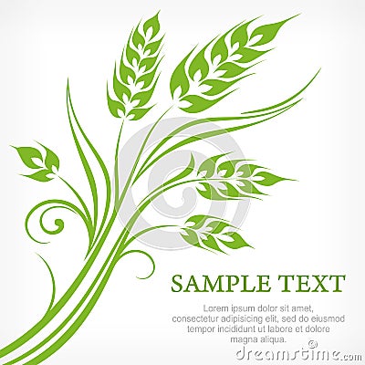 Stylized ears of wheat in green Vector Illustration