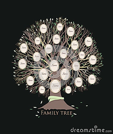 Stylized family tree or pedigree chart template with branches and round photo frames isolated on black background Vector Illustration