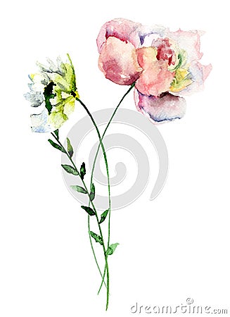 Stylized Gerber and Peony flowers Cartoon Illustration