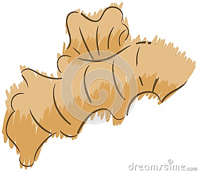 Stylized ginger isolated Stock Photo