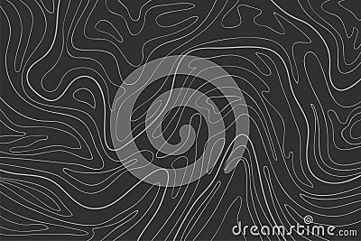 The stylized height of the topographic map contour in lines and contours. The concept of a conditional geography scheme and the Vector Illustration