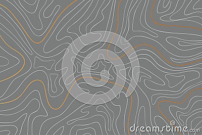The stylized height of the topographic map contour in lines and contours. The concept of a conditional geography scheme and the Vector Illustration