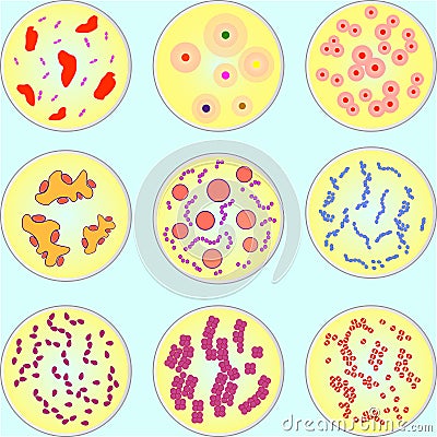 Stylized image of different types of bacteria Vector Illustration