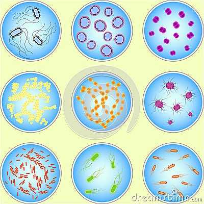 Stylized image of different types of bacteria Vector Illustration